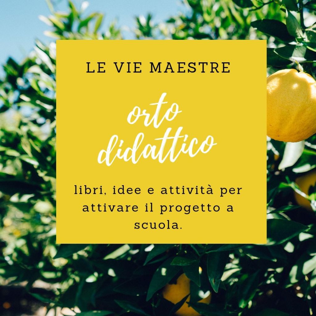 ORTO DIDATTICO: libri, idee e attività per attivare il progetto a&nbsp;scuola.