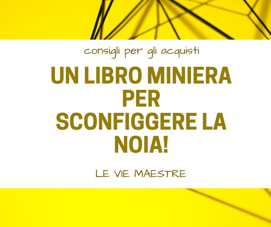 UN LIBRO MINIERA PER SCONFIGGERE LA&nbsp;NOIA!